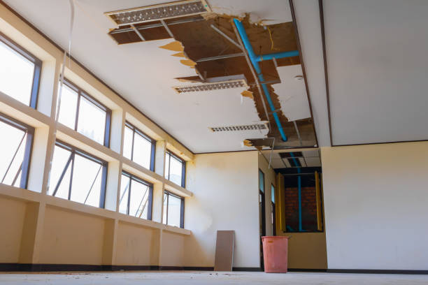 Best Water damage restoration near me  in Coraopolis, PA