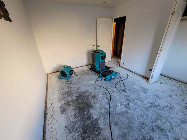 Best 24-hour water damage restoration  in Coraopolis, PA