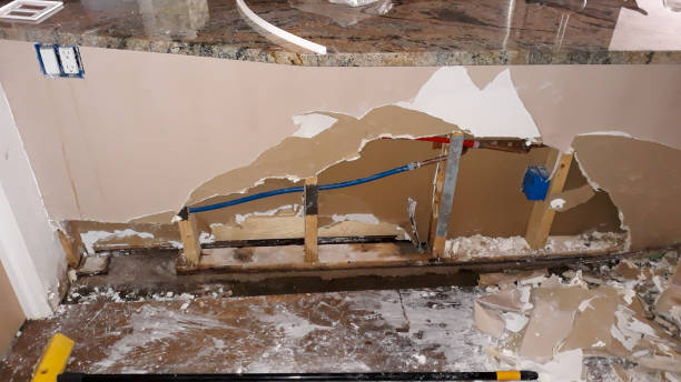 Best Flood damage cleanup  in Coraopolis, PA