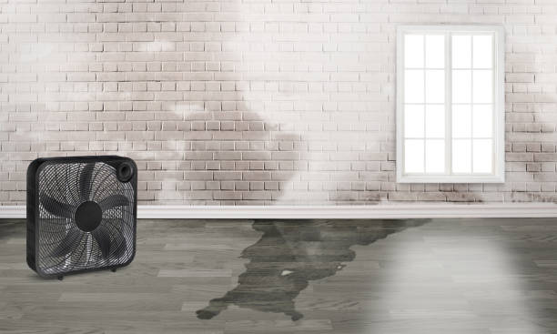 Coraopolis, PA Water damage restoration Pros