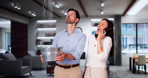 Best Basement water damage restoration  in Coraopolis, PA
